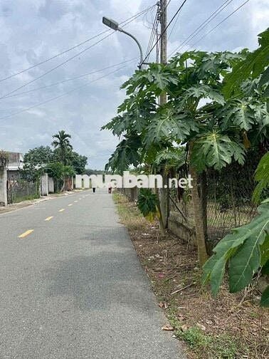 đất vườn bưởi 1 sec dt750 tài chính 3xx mua được