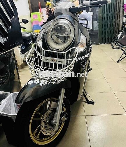 Honda Scoopy 2022 Xám nhập Indo
