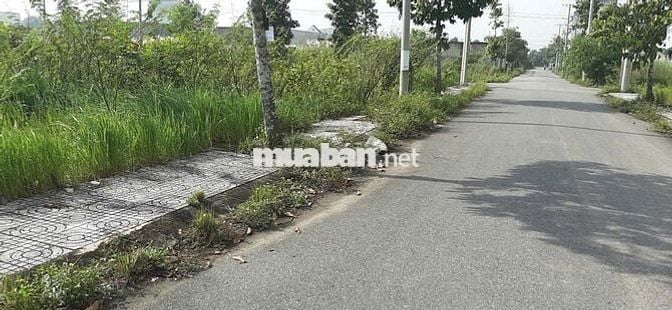 Bán đất nền lô C2-19 Lotus Riverside (đường số 1) dự án KDC Long Cang