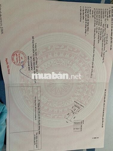 Bán đất nền lô C2-19 Lotus Riverside (đường số 1) dự án KDC Long Cang