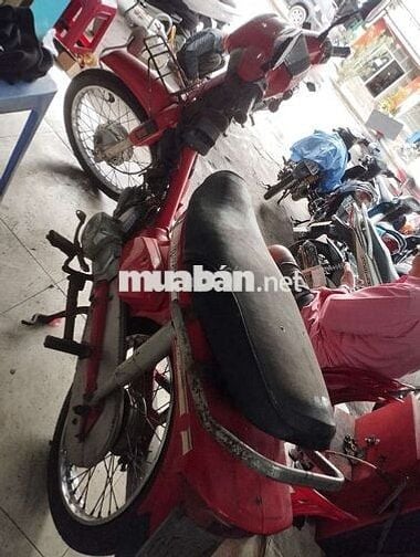 Citi máy ngon , nhựa tạm