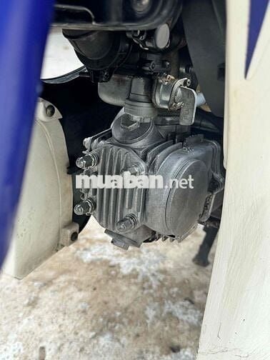 SYM Elegant 50cc Xanh trắng