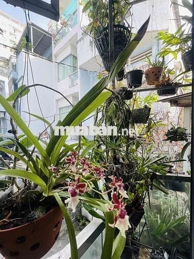 Bán nhà Nguyễn Chí Thanh p3 Quận 10 tặng hết nội thất 37m2 3 tầng nhà