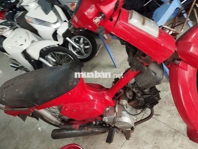 Citi máy ngon , nhựa tạm