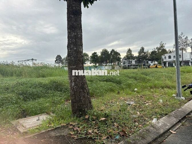 BÁN GẤP - CẶP NỀN VỊ TRÍ ĐẸP KINH DOANH BUÔN BÁN