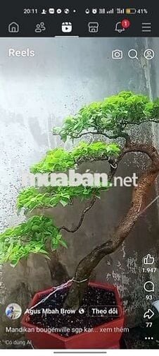 Lô đất khu phố du lịch sông Hàn giữa cầu Rồng + sông Hàn