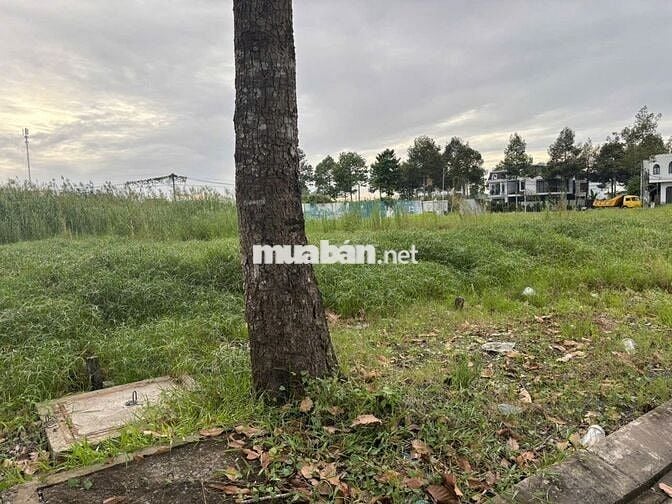 BÁN GẤP - CẶP NỀN VỊ TRÍ ĐẸP KINH DOANH BUÔN BÁN