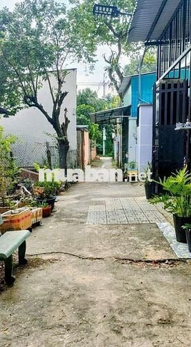 Đất thổ cư 1/Tân Hiệp 18-Hóc Môn.Dt 18x45~738m2 có 491m2 thổ cư~9ty