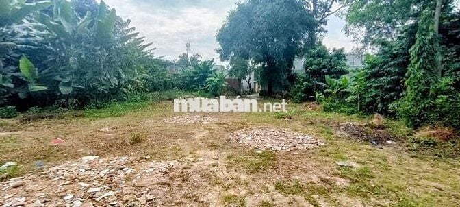 Đất thổ cư 1/Tân Hiệp 18-Hóc Môn.Dt 18x45~738m2 có 491m2 thổ cư~9ty