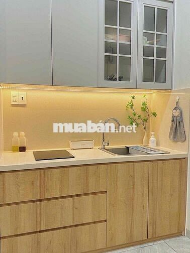 Căn hộ full NT - mới 100% - được nuôi pet - ngay chợ Thị Nghè