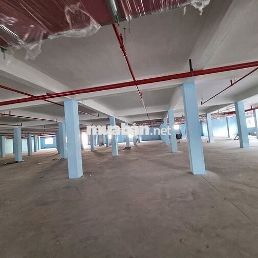 Cho thuê kho xưởng KCN Hải Sơn,Tân Đô , Tân Đức, Long An, PCCC tự động