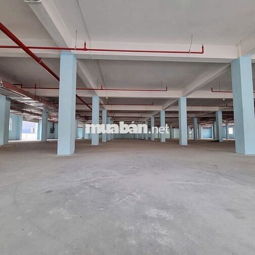 Cho thuê kho xưởng KCN Hải Sơn,Tân Đô , Tân Đức, Long An, PCCC tự động