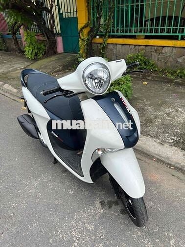 Lead 125 2014 Fi ( bstp xám porsche )