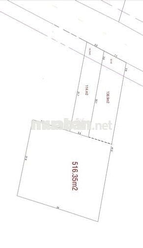 • Đất Thổ cư . Mặt Tiền Đồng Bà Canh . Xuân Thới Sơn . HM