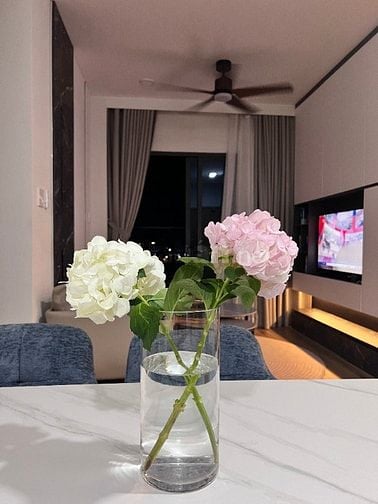 Bạn trẻ cần nhà đẹp – giá hợp lý? Viva Plaza 1PN Q7 – 9 triệu/tháng!