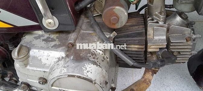 CITI hado siva daelim