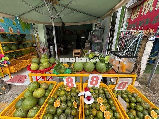 SANG LẠI MẶT BẰNG HÀ HUY GIÁP 4x10 gác lửng