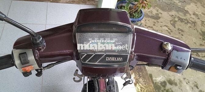 CITI hado siva daelim