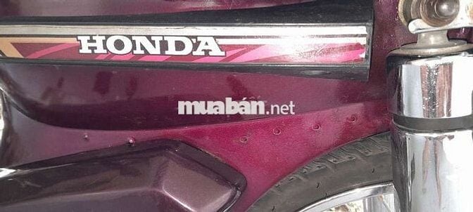 CITI hado siva daelim