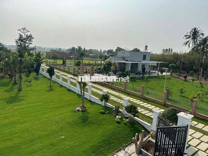 Chinh chu ban gấp biệt thự đẹp tại Trung Lập Thượng , Củ Chi .