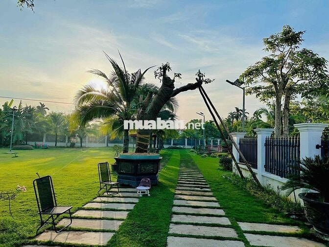 Chinh chu ban gấp biệt thự đẹp tại Trung Lập Thượng , Củ Chi .