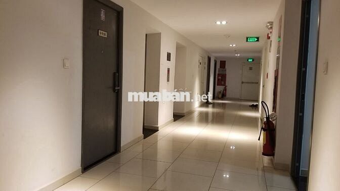 Căn hộ cao cấp An Gia star 51m2  2 PN cho thuê