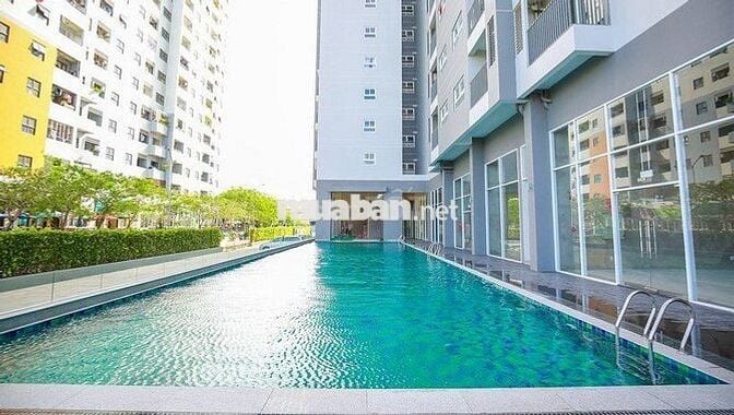 Căn hộ cao cấp An Gia star 51m2  2 PN cho thuê