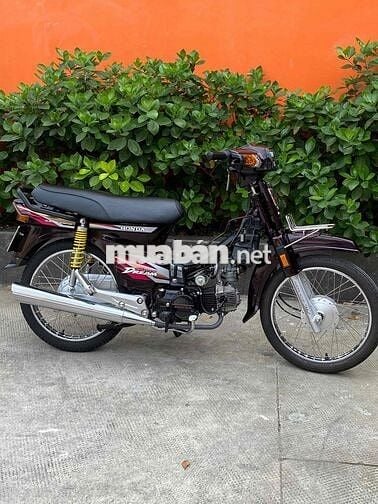 Honda Dream supber 2002 tâm huyết