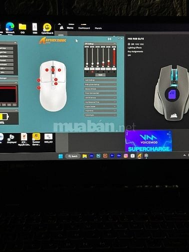 Chuột gaming Corsair và Attack Shark