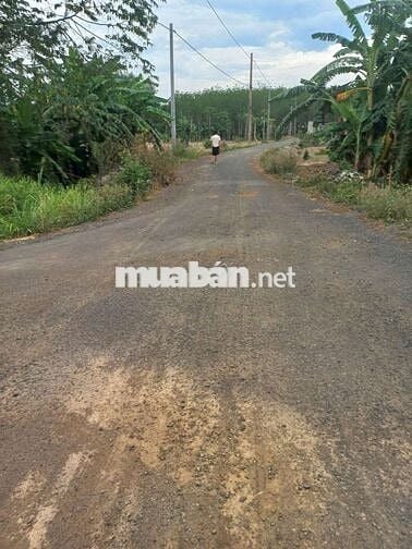 Cân bán 10.503m2 đất Hòa hiệp, huyện xuyên mộc tỉnh bà Rịa-Vũng tàu