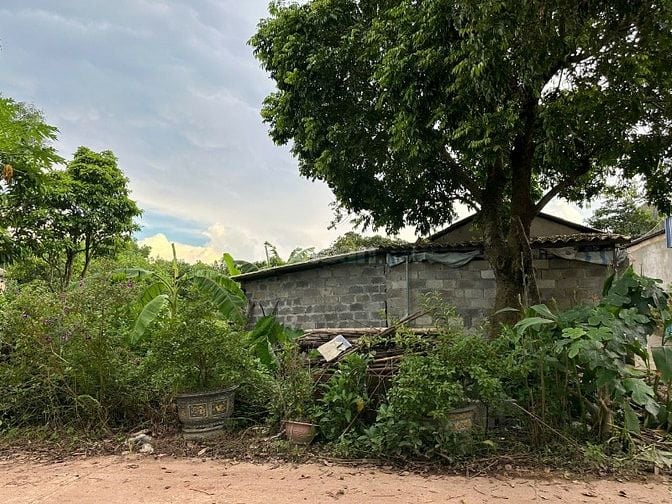  Đất rẻ tại Xóm Đồi Chè, Xã Phúc Trìu (Cũ), T.Thái Nguyên