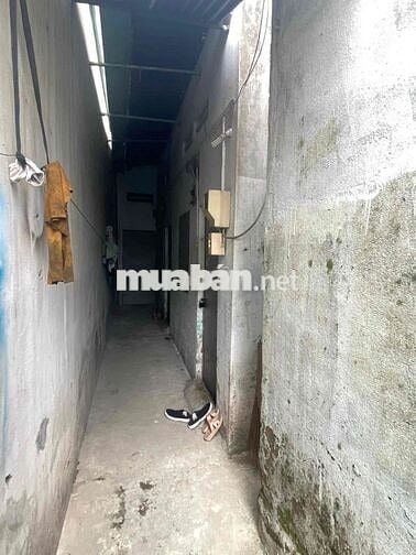 Nhà SHR 5,8*17m có 3 phòng trọ 2/ ngắn Thới Hoà Vĩnh Lộc A