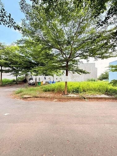 Cần bán lô đất ngay Cầu Tân Triều, shr full thổ giá 1 tỷ 250tr