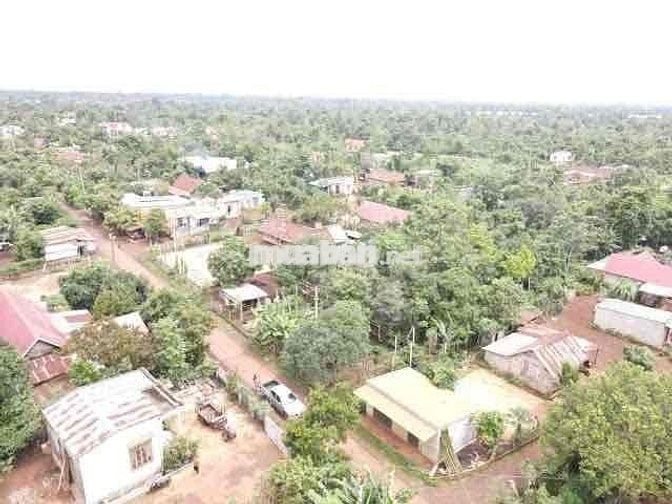 BÁN GẤP LÔ ĐẤT CƯMGAR – 5×41M – GIÁ CHỈ 219 TRIỆU!  🌳 ĐẸP – RẺ – THỔ C