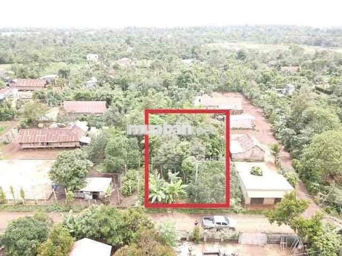 BÁN GẤP LÔ ĐẤT CƯMGAR – 5×41M – GIÁ CHỈ 219 TRIỆU!  🌳 ĐẸP – RẺ – THỔ C