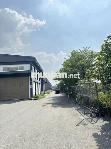 Cho thuê 2 kho xưởng KCN Đức Hòa, Long An, PCCC tự động, giá : 3.5 usd