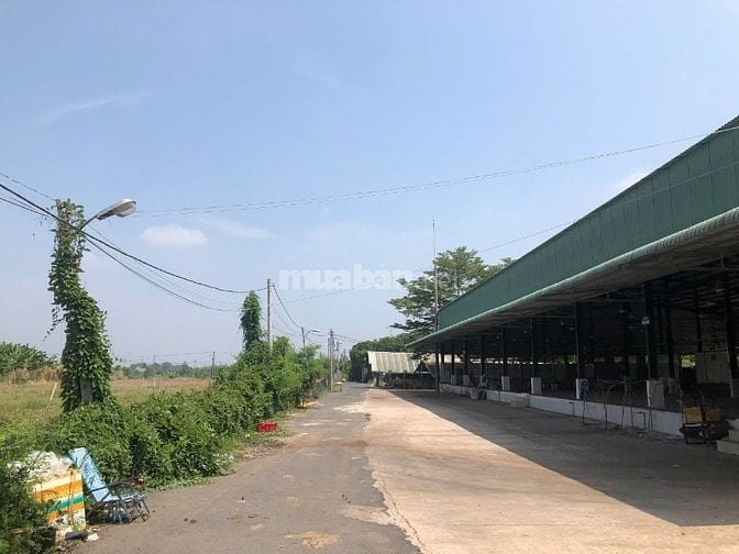 Bán 3 sào đất vuông vức sổ riêng - 500m UBND Sông Thao - Đồng Nai