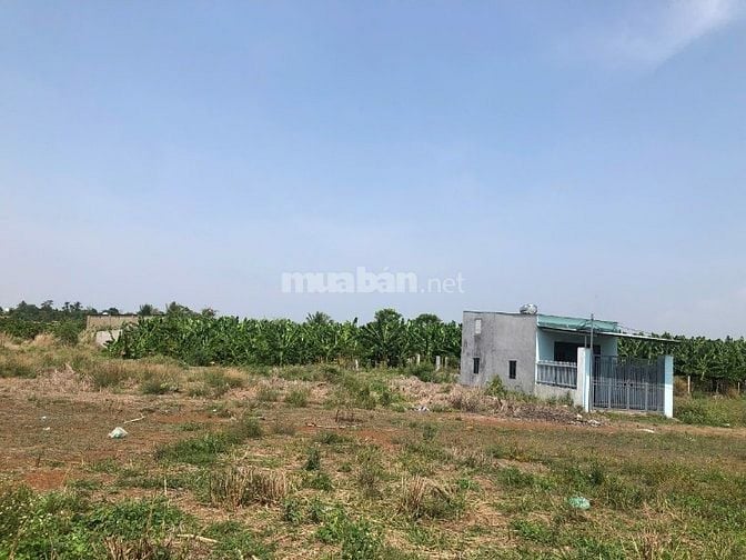 Bán 3 sào đất vuông vức sổ riêng - 500m UBND Sông Thao - Đồng Nai