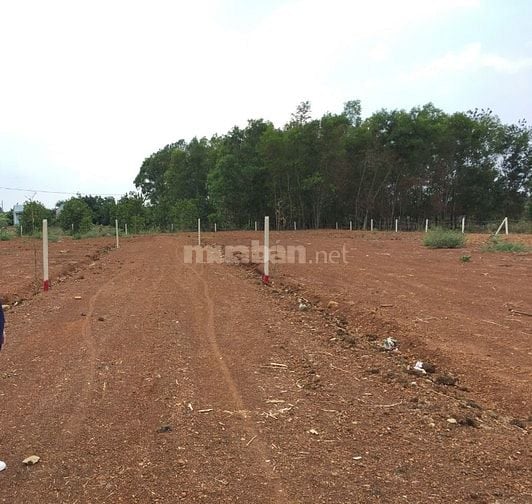 Bán 3 sào đất vuông vức sổ riêng - 500m UBND Sông Thao - Đồng Nai