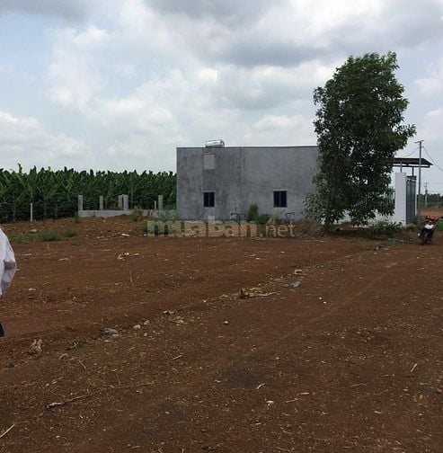 Bán 3 sào đất vuông vức sổ riêng - 500m UBND Sông Thao - Đồng Nai