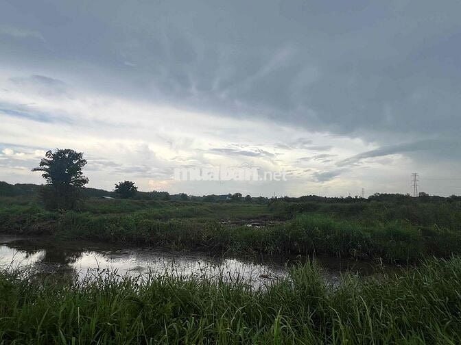 Bán đất Đường An Tây 071, trong khu Tái định cư Phú An , TPHCM