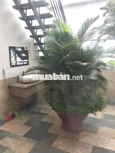 Cho thuê Biệt Thự 4 lầu 200m2 có: 5pn bên DT743 - Dĩ An