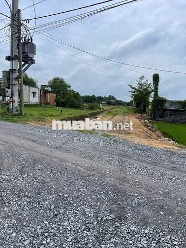 Bán đất 530m² giá 900 triệu đường Tỉnh Lộ 7 – gần Chợ Thái Mỹ & UBND