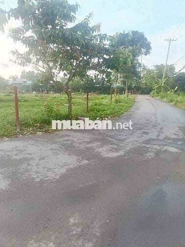 Siêu Phẩm Gốc 2 Mặt Tiền Đường Nhựa Bùi Văn Sự