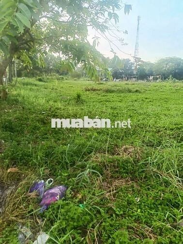 Siêu Phẩm Gốc 2 Mặt Tiền Đường Nhựa Bùi Văn Sự