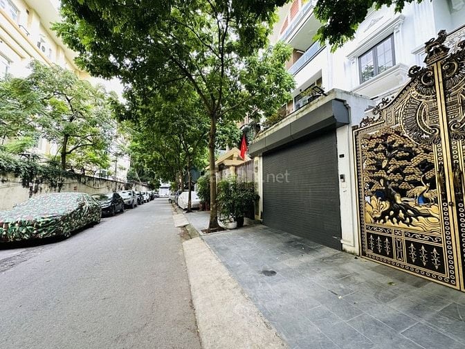 Trần Bình – Cầu Giấy – Ô Tô KD – 71 M2 – 4 T – MT 4.5 M – Giá 18.3 Tỷ.