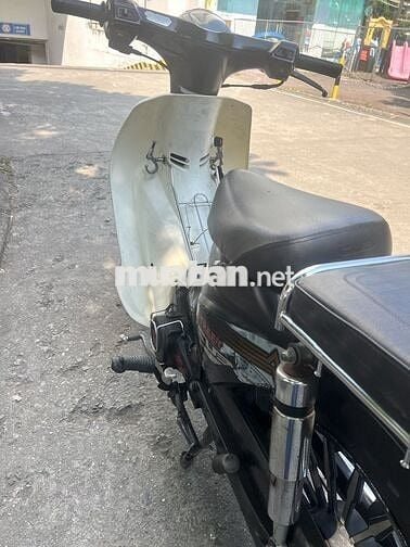 Honda Cub 50 2019 Đen Trắng