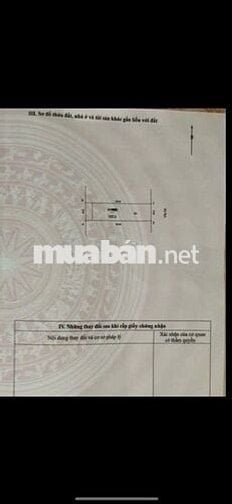 Hữu Hưng - Ô Tô Tránh vỉa hè - Kinh Doanh - 100m2 - Loanh Quanh 21 Tỷ