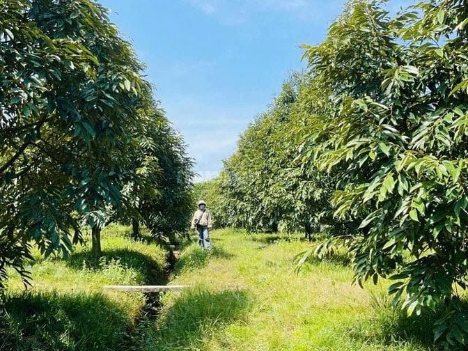 Chủ cần bán lô đất 3400m2 ngang 50 thổ cư 300m2 có nhà sẵn trên đất