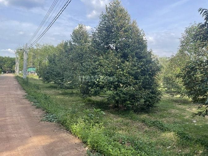 Chủ cần bán lô đất 3400m2 ngang 50 thổ cư 300m2 có nhà sẵn trên đất